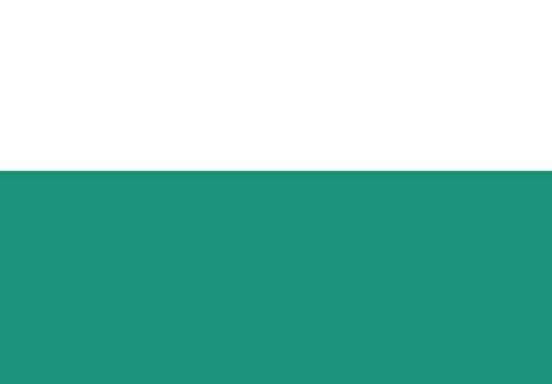 Binaswap-2ca81.firebaseapp.com Reviews Scam