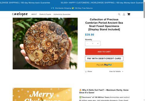 Carelogee.com Reviews Scam
