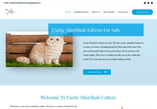 Exoticshorthairkittencattery.com Reviews Scam