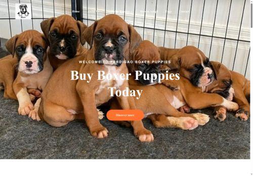 Perdigaoboxerspuppies.com Reviews Scam