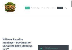 Willowsparadisemonkeys.com Reviews Scam