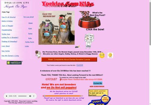Yorkies.com Reviews Scam