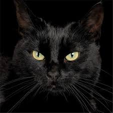 Tanner Washington Avatar