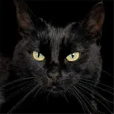 Tanner Washington Avatar